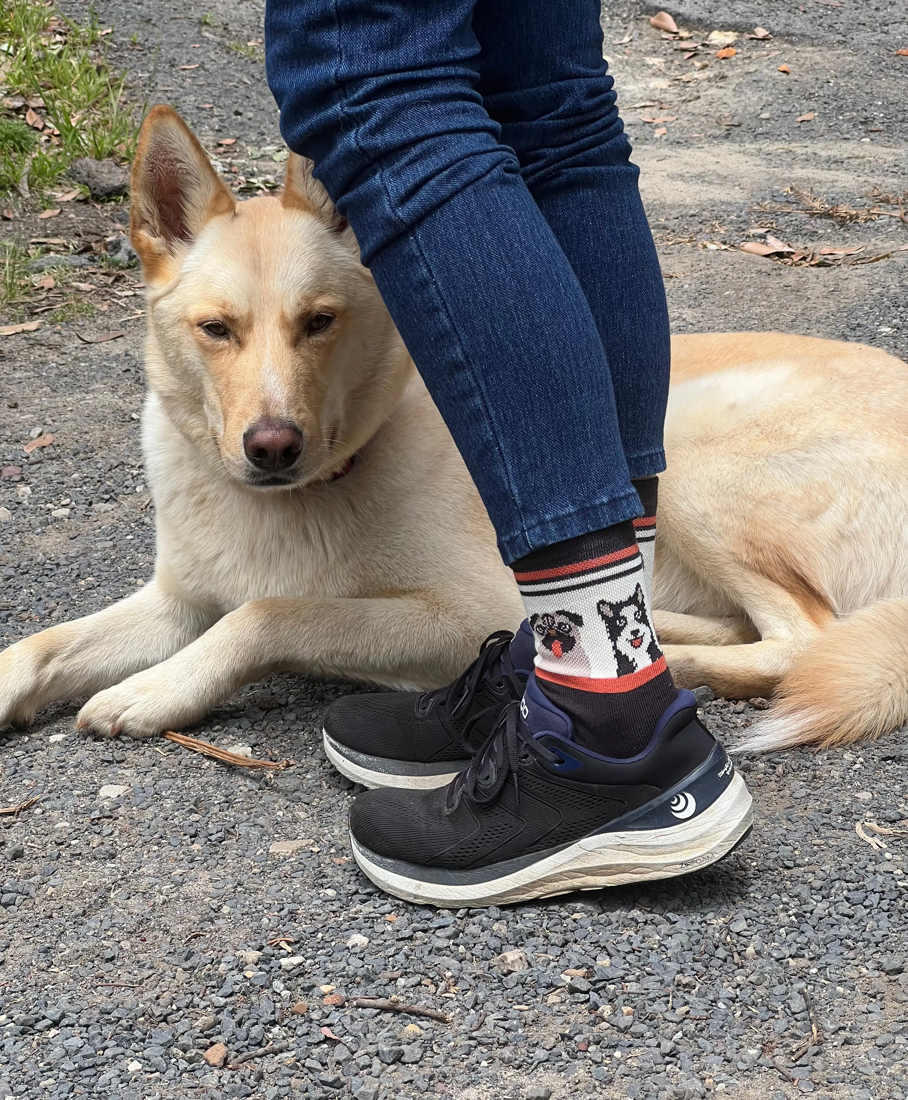 Best Friends Athletic Sports Socks