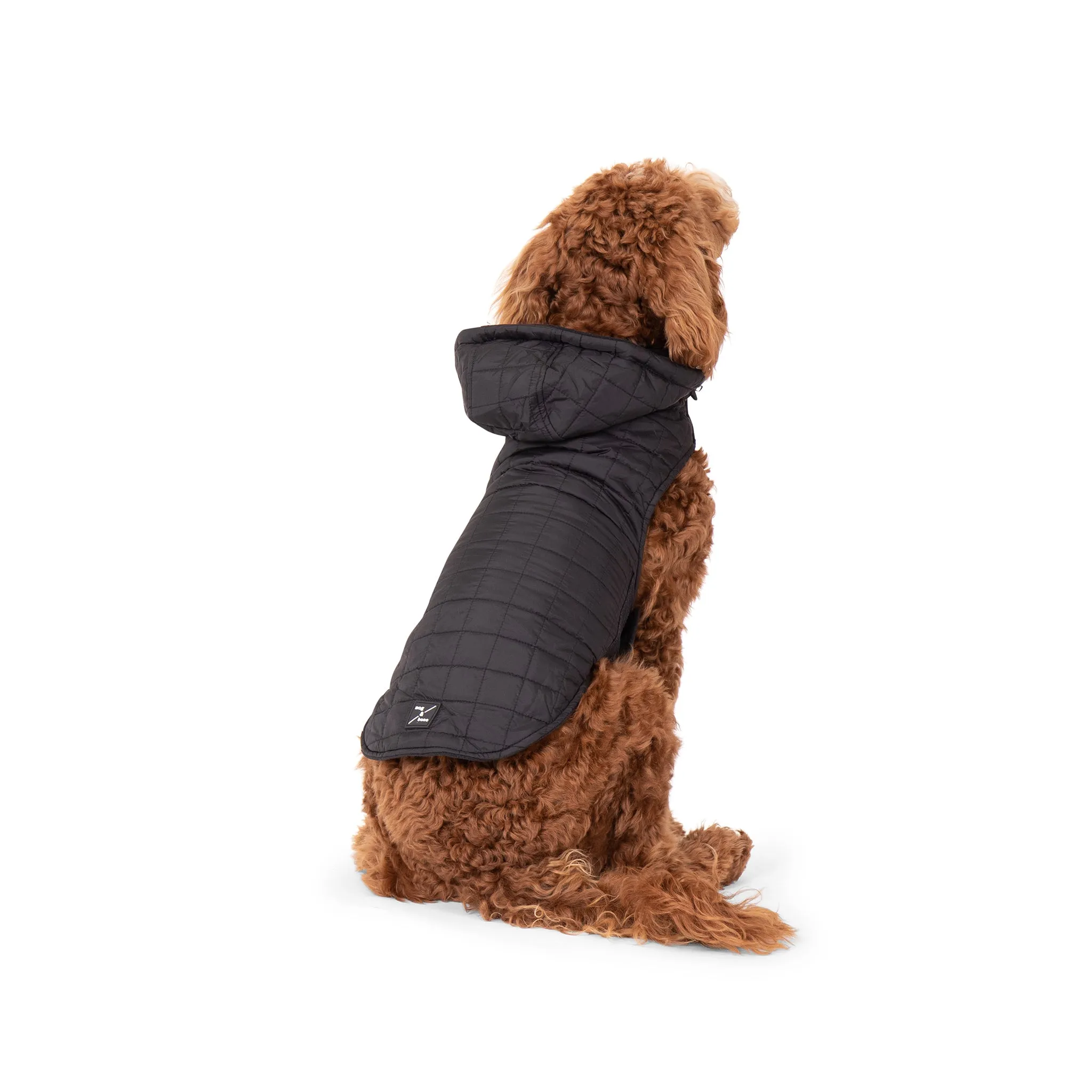 Dog Puffer Jacket - Black