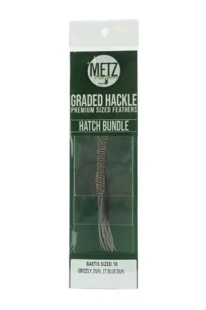 Hackle Hatch Bundle - Baetis