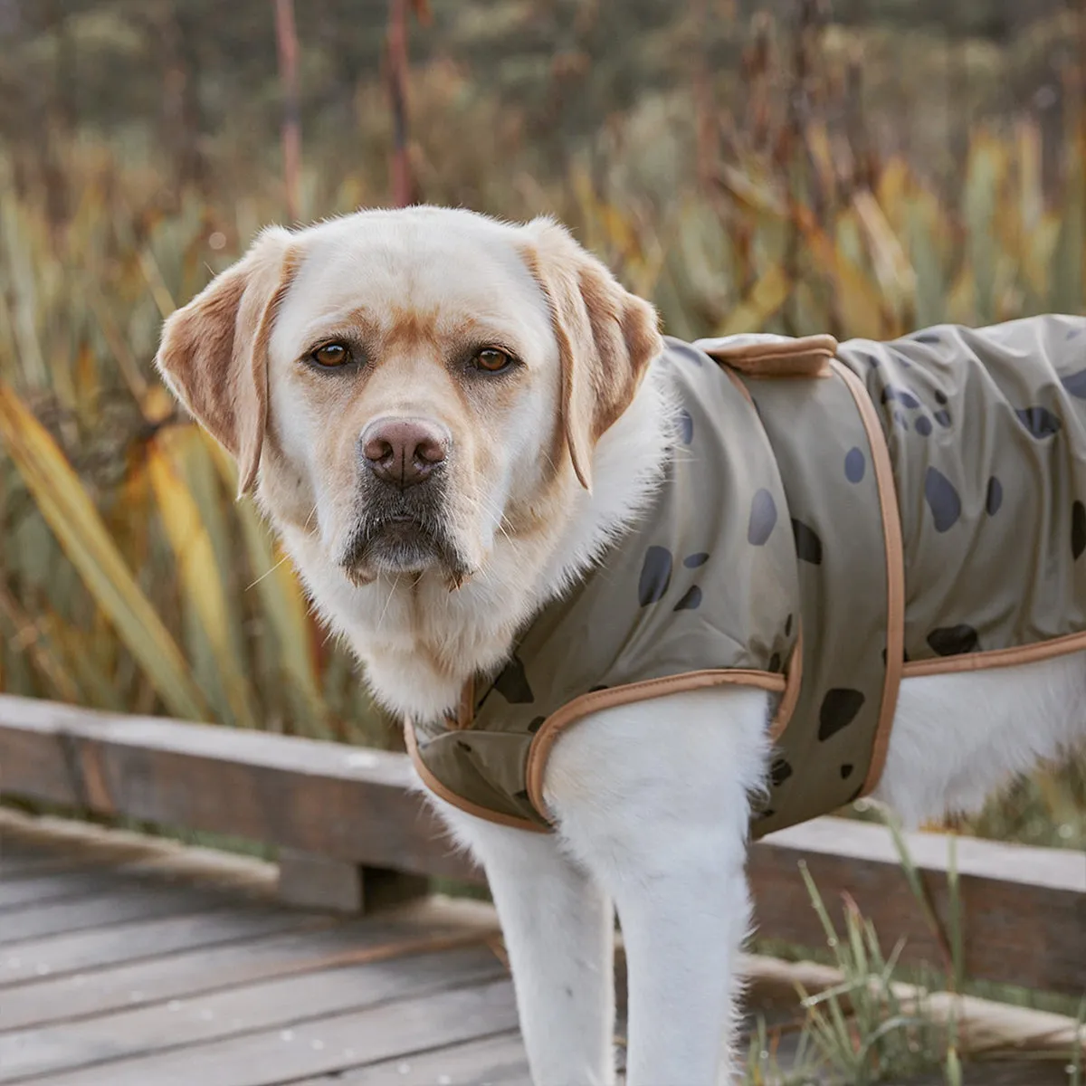 Ruff Jacket - Khaki Stones