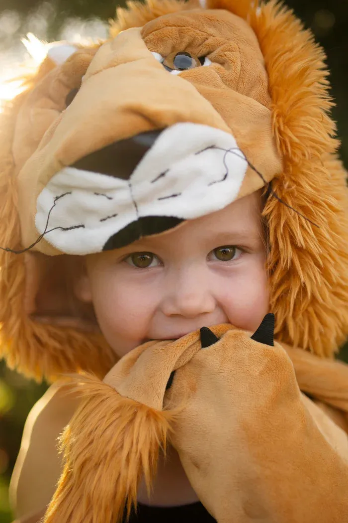 Storybook Lion Cape 57502