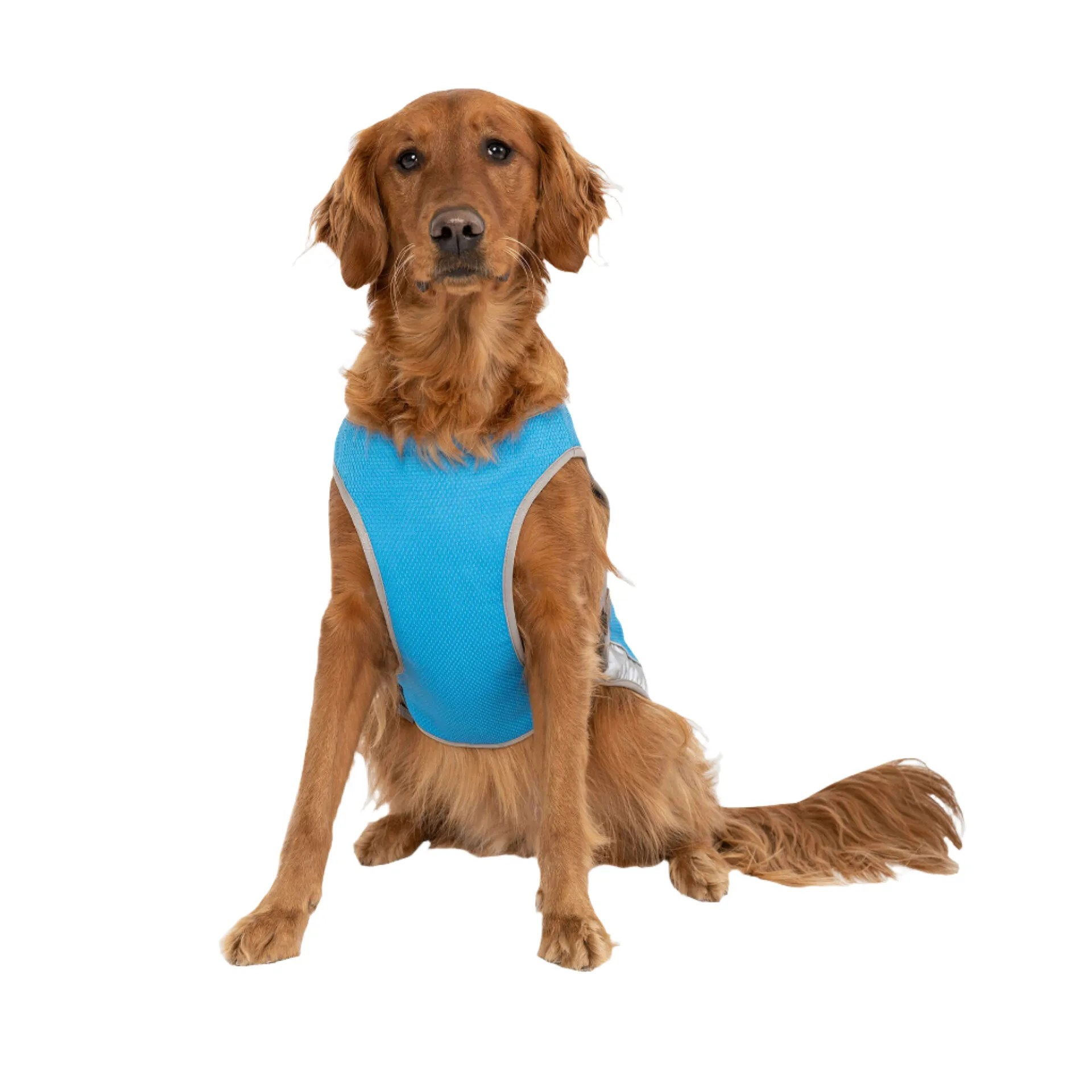 Warm Weather Cooling Vest