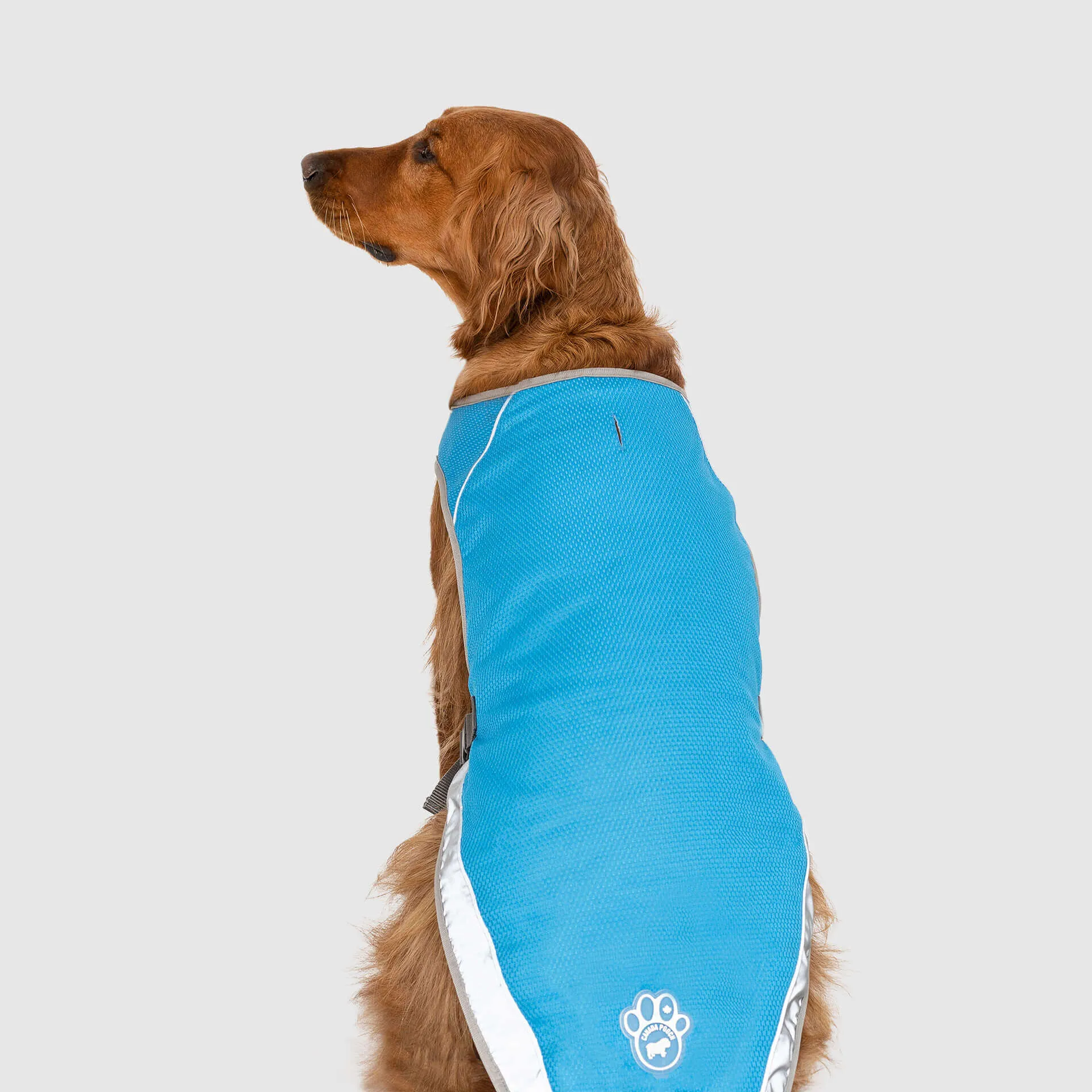 Warm Weather Cooling Vest