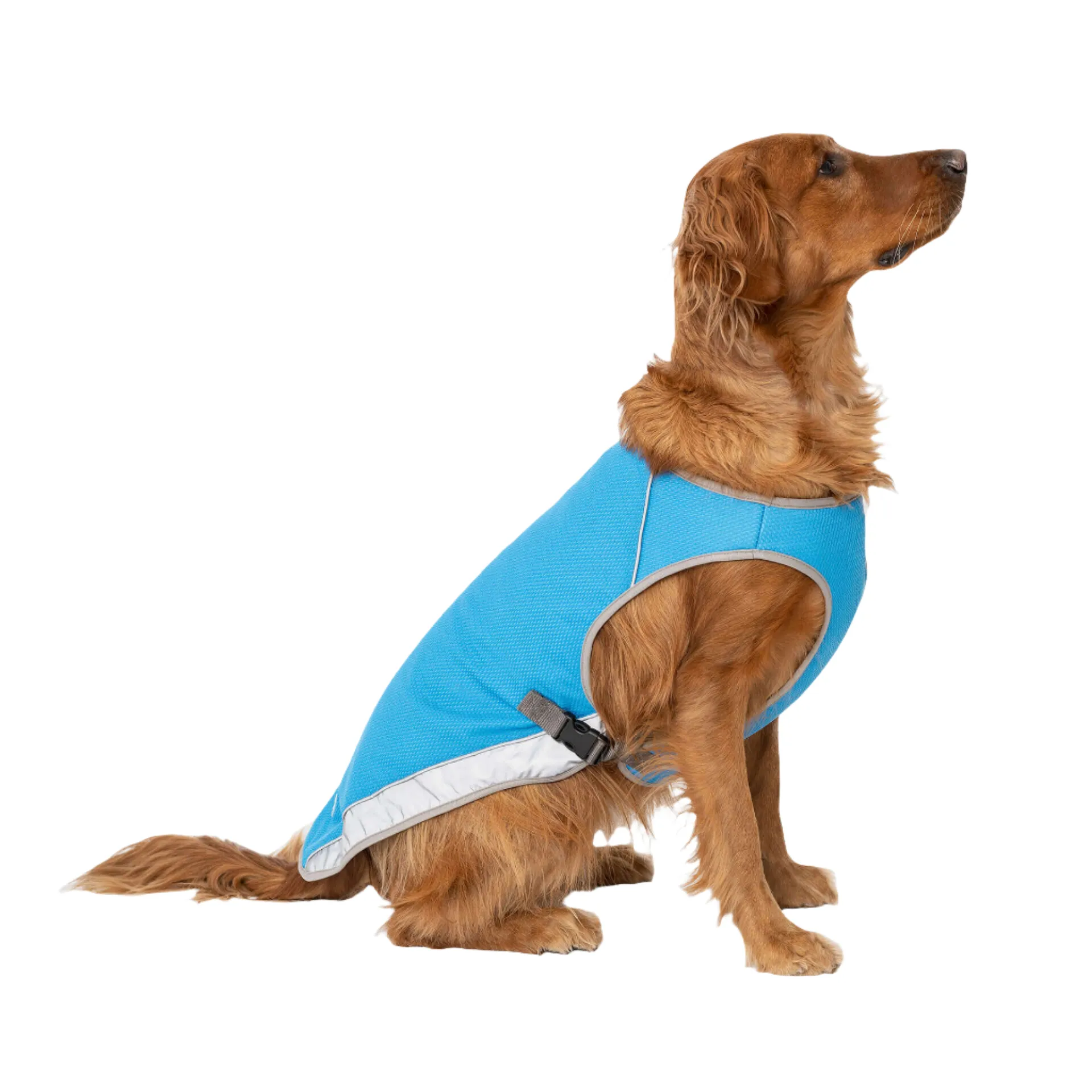 Warm Weather Cooling Vest